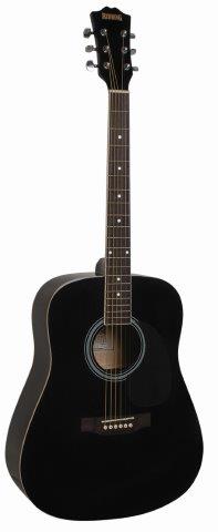 REDDING DREADNOUGHT STEEL STR ACOUSTIC BLACK